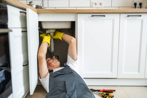 Best Plumbing Repair Near Me  in North Riverside, IL