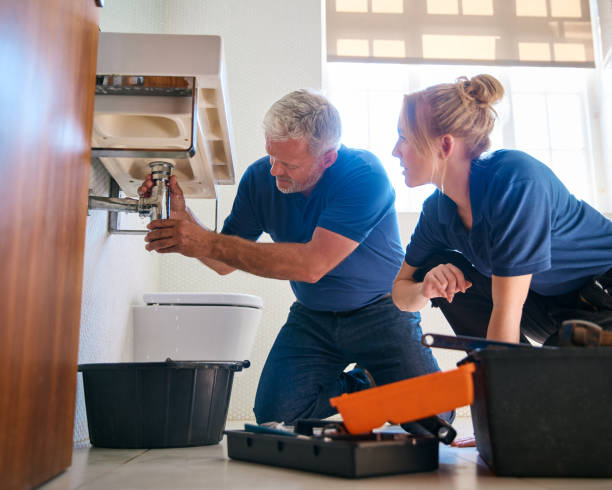 Best Pipe Repair Near Me  in North Riverside, IL